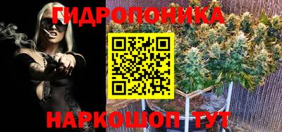 гашик Можайск