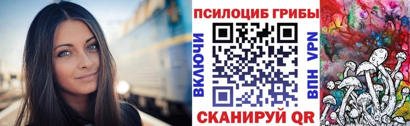 Псилоцибиновые грибы мухоморы  дарк нет клад  Аргун 