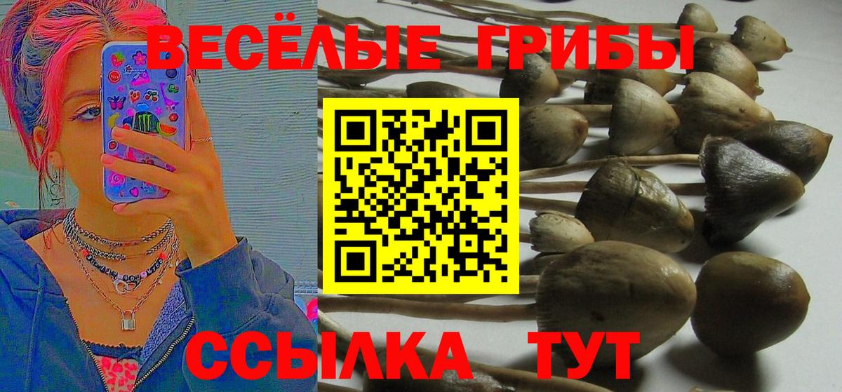 Галлюциногенные грибы Magic Shrooms  Вход с VPN  наркота  Аргун 