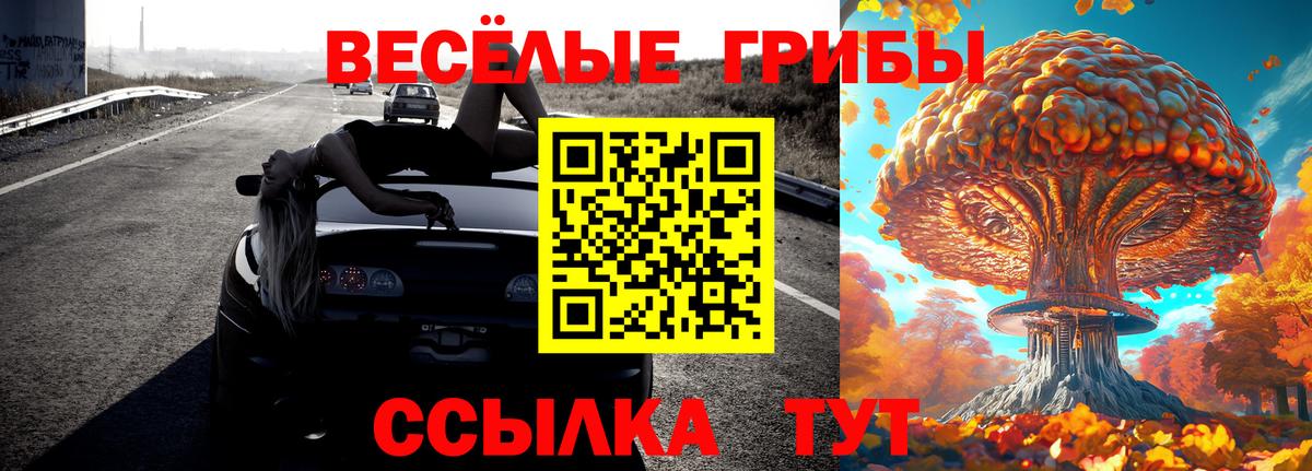Псилоцибиновые грибы ЛСД Аргун